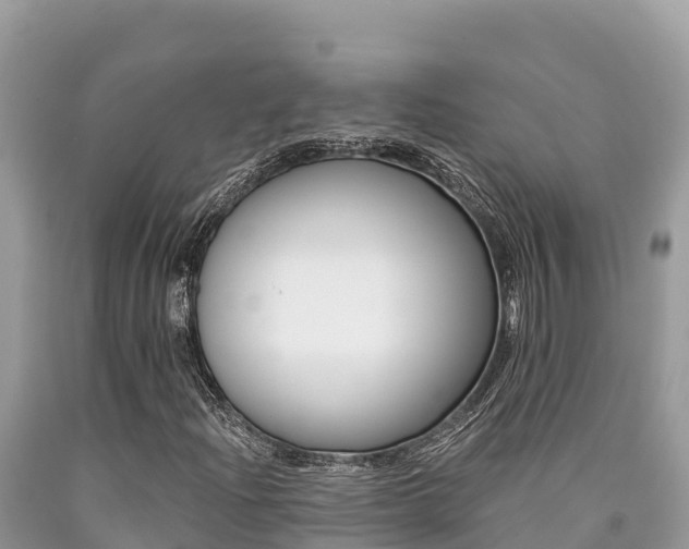 X0000090781204200707201128