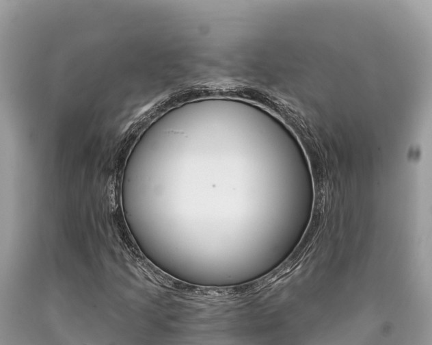 X0000090781205200707201128
