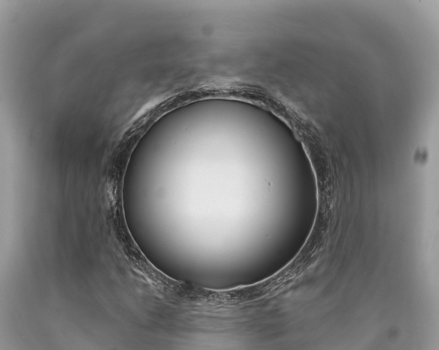 X0000090781206200707201128