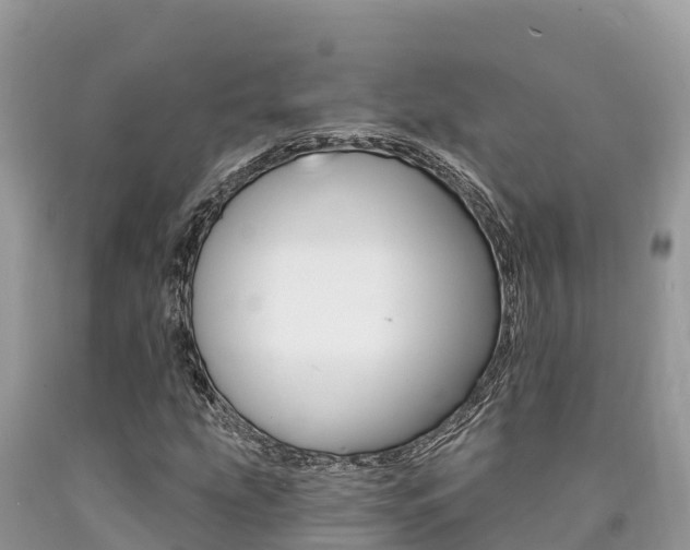 X0000090781207200707201128
