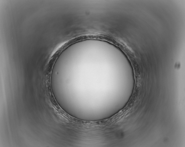 X0000090781208200707201128