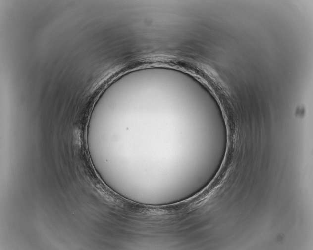 X0000090781209200707201128