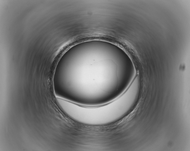 X0000090781210200707201128
