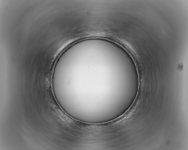 X0000090781212200707201128