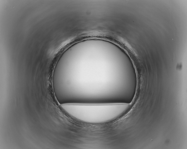 X0000090781213200707201128