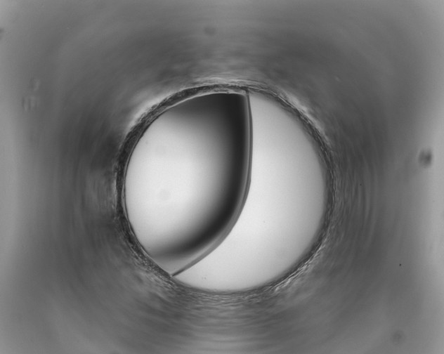 X0000090781214200707201128
