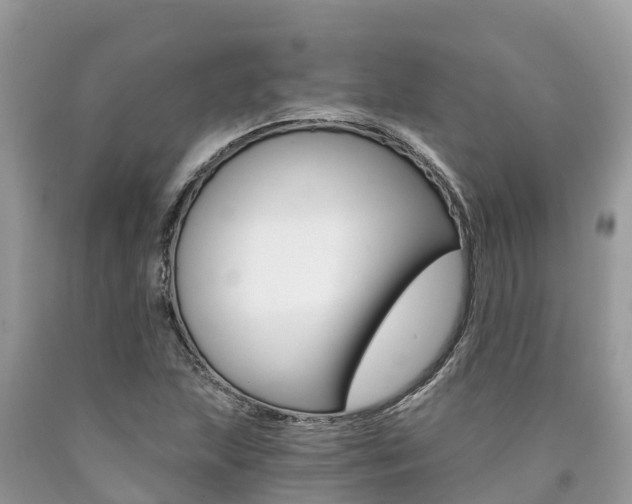 X0000090781215200707201128