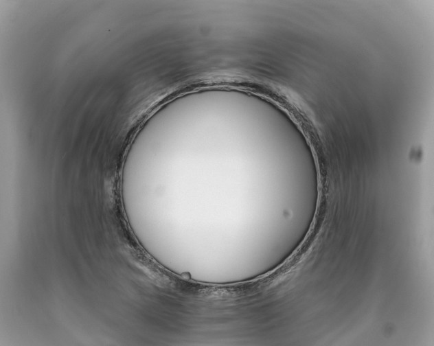 X0000090781217200707201128