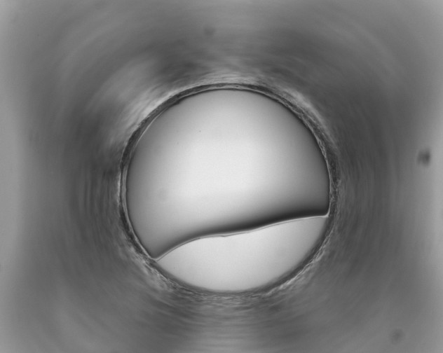 X0000090781220200707201128