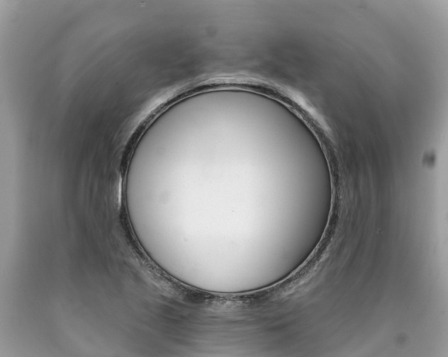 X0000090781221200707201128
