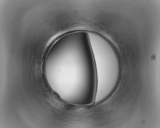 X0000090781222200707201128