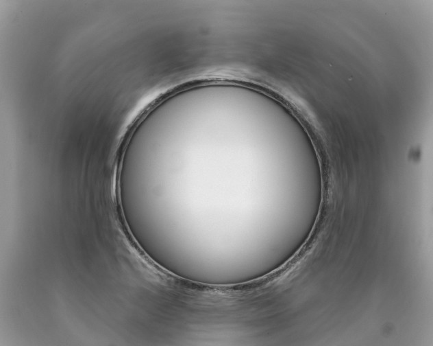 X0000090781224200707201128