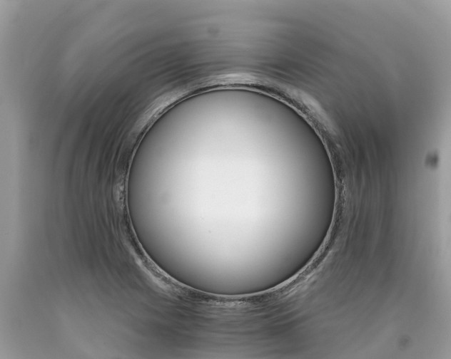 X0000090781225200707201128