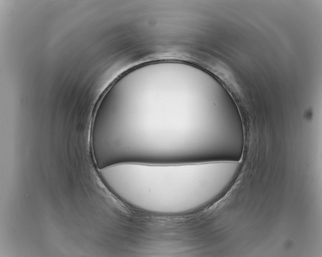 X0000090781228200707201128