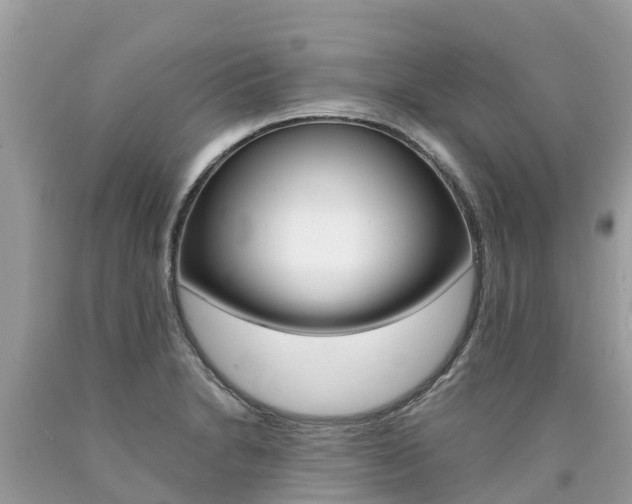 X0000090781230200707201128