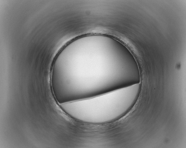 X0000090781232200707201128