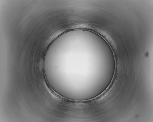 X0000090781233200707201128