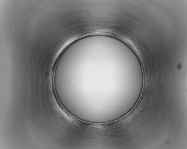 X0000090781235200707201128