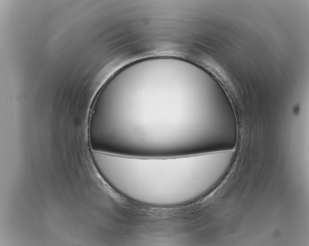 X0000090781236200707201128