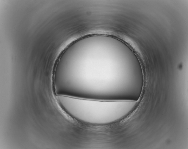 X0000090781237200707201128