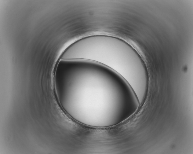 X0000090781238200707201128