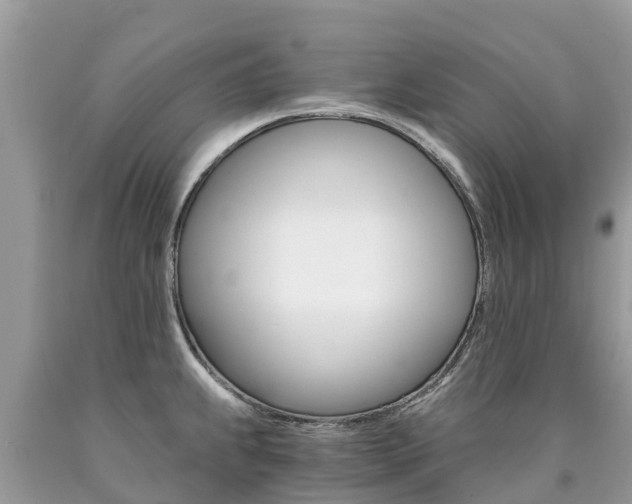 X0000090781239200707201128