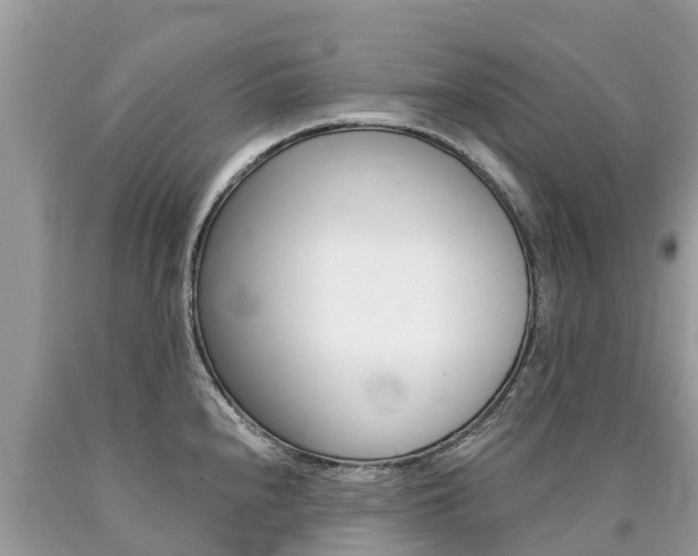 X0000090781240200707201128