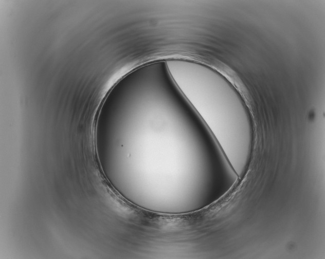 X0000090781242200707201128
