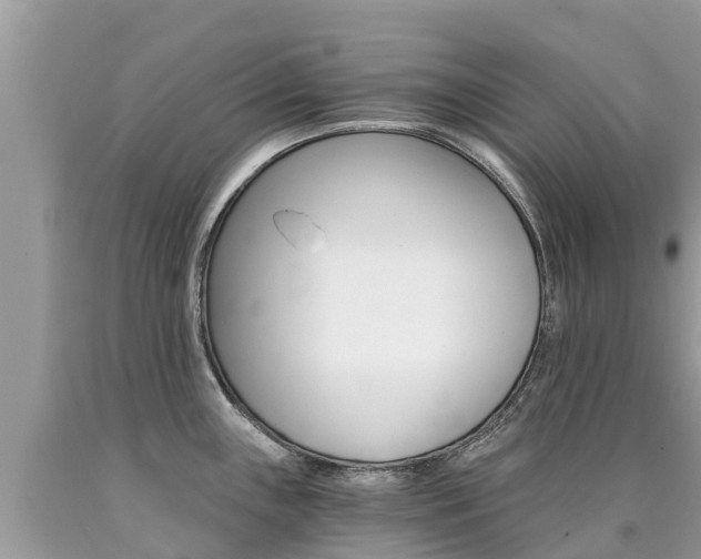 X0000090781243200707201128