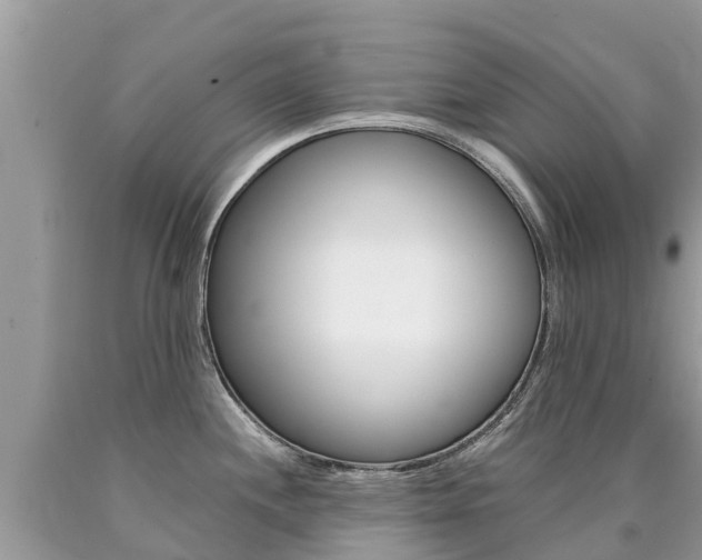 X0000090781244200707201128