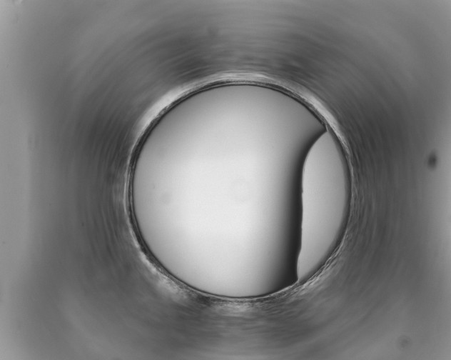 X0000090781245200707201128