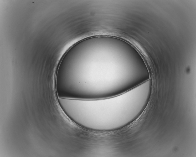 X0000090781246200707201128