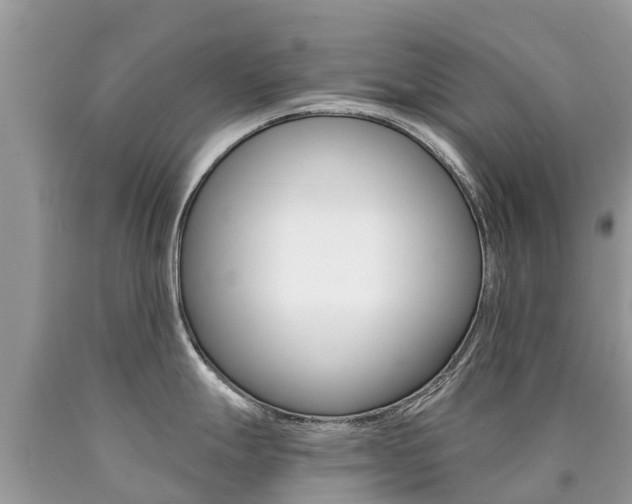 X0000090781247200707201128