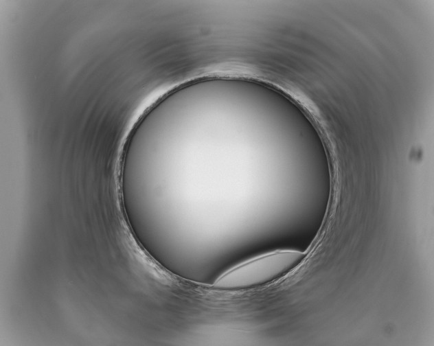 X0000090781248200707201128