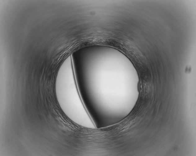 X0000090781250200707201128