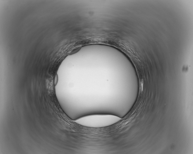 X0000090781251200707201128
