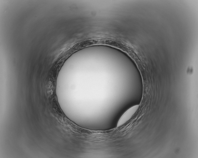X0000090781253200707201128