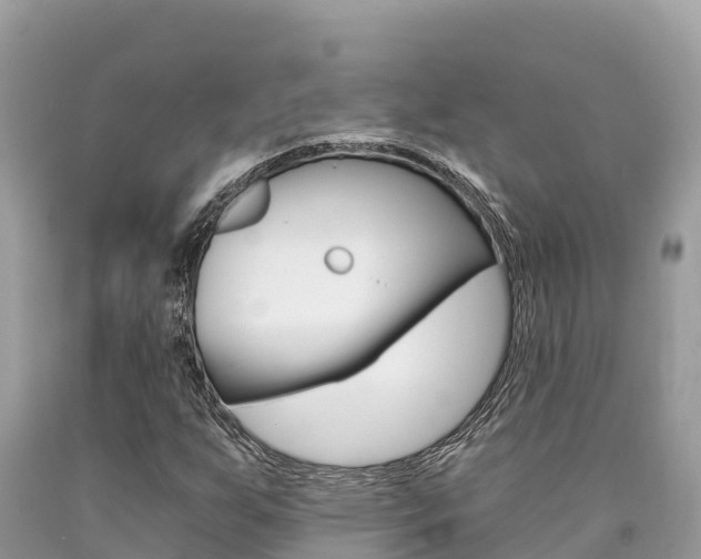 X0000090781255200707201128