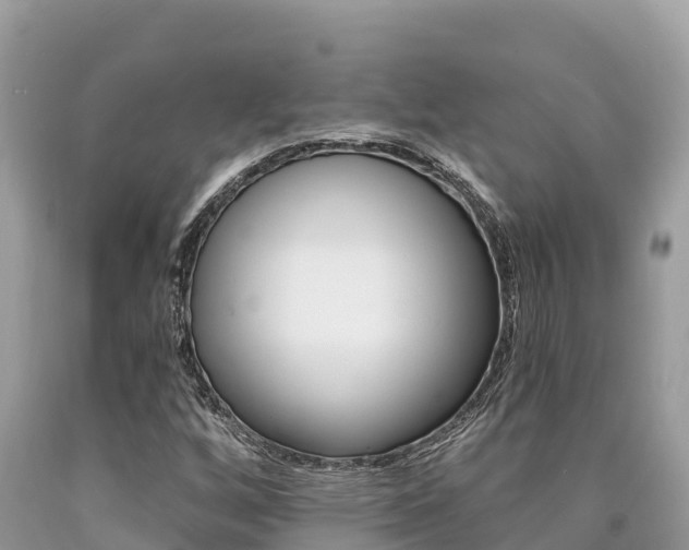 X0000090781256200707201128
