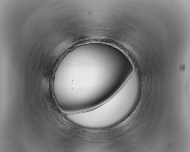 X0000090781257200707201128