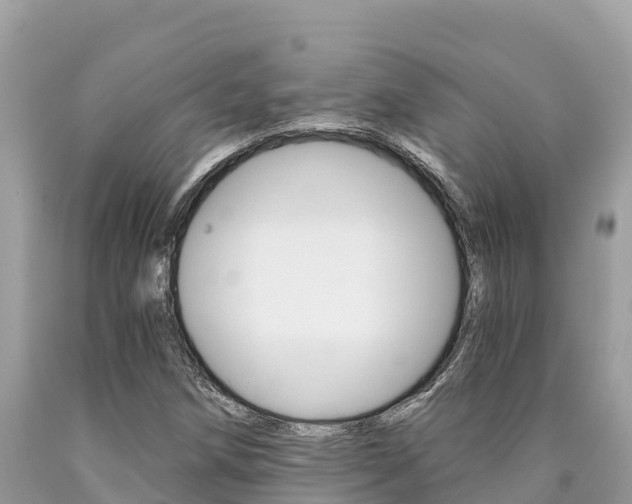 X0000090781258200707201128