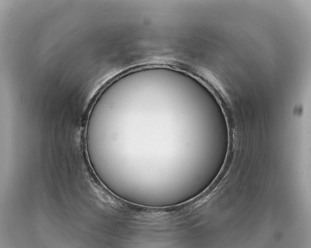 X0000090781260200707201127