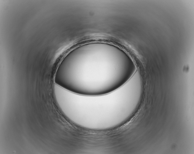 X0000090781261200707201127