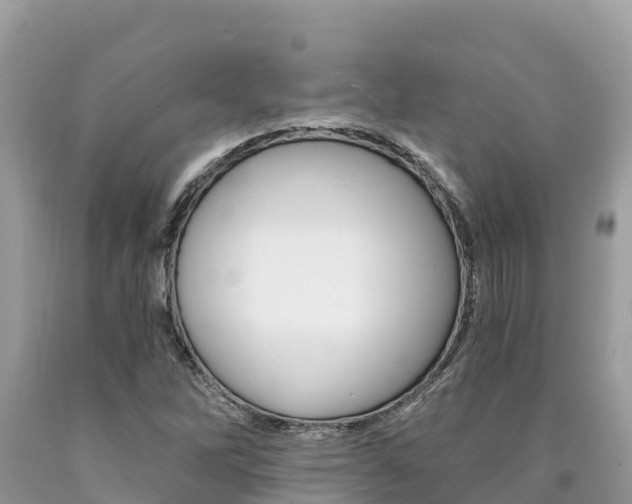 X0000090781262200707201127