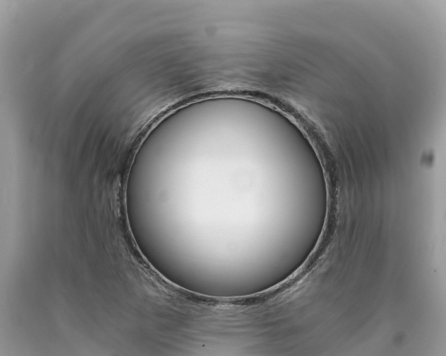 X0000090781265200707201127