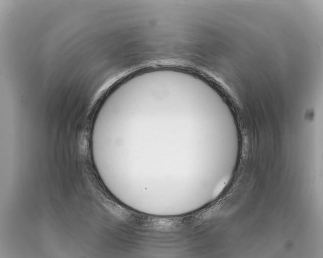 X0000090781266200707201127