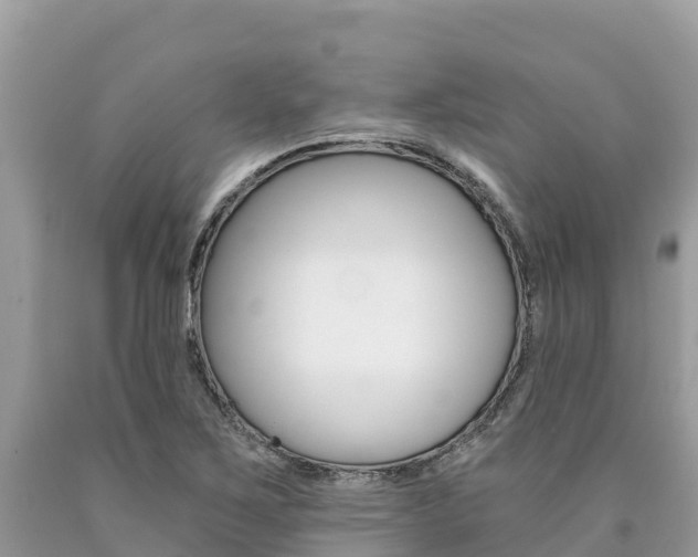 X0000090781267200707201127