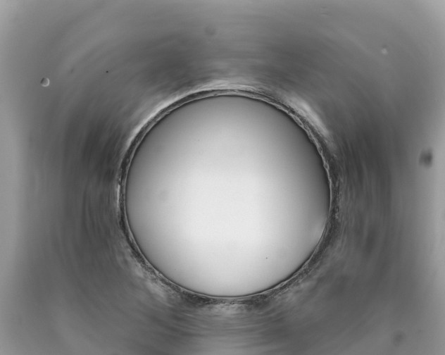 X0000090781268200707201127
