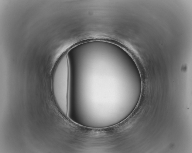 X0000090781269200707201127