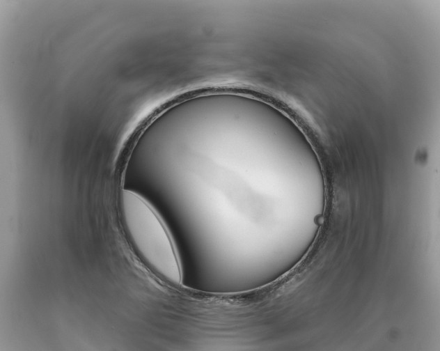 X0000090781270200707201127